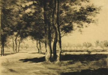 Скворцов А.В. Три дерева. 1940-е. Бумага. Сухая игла (СГХМ, Г-6825)